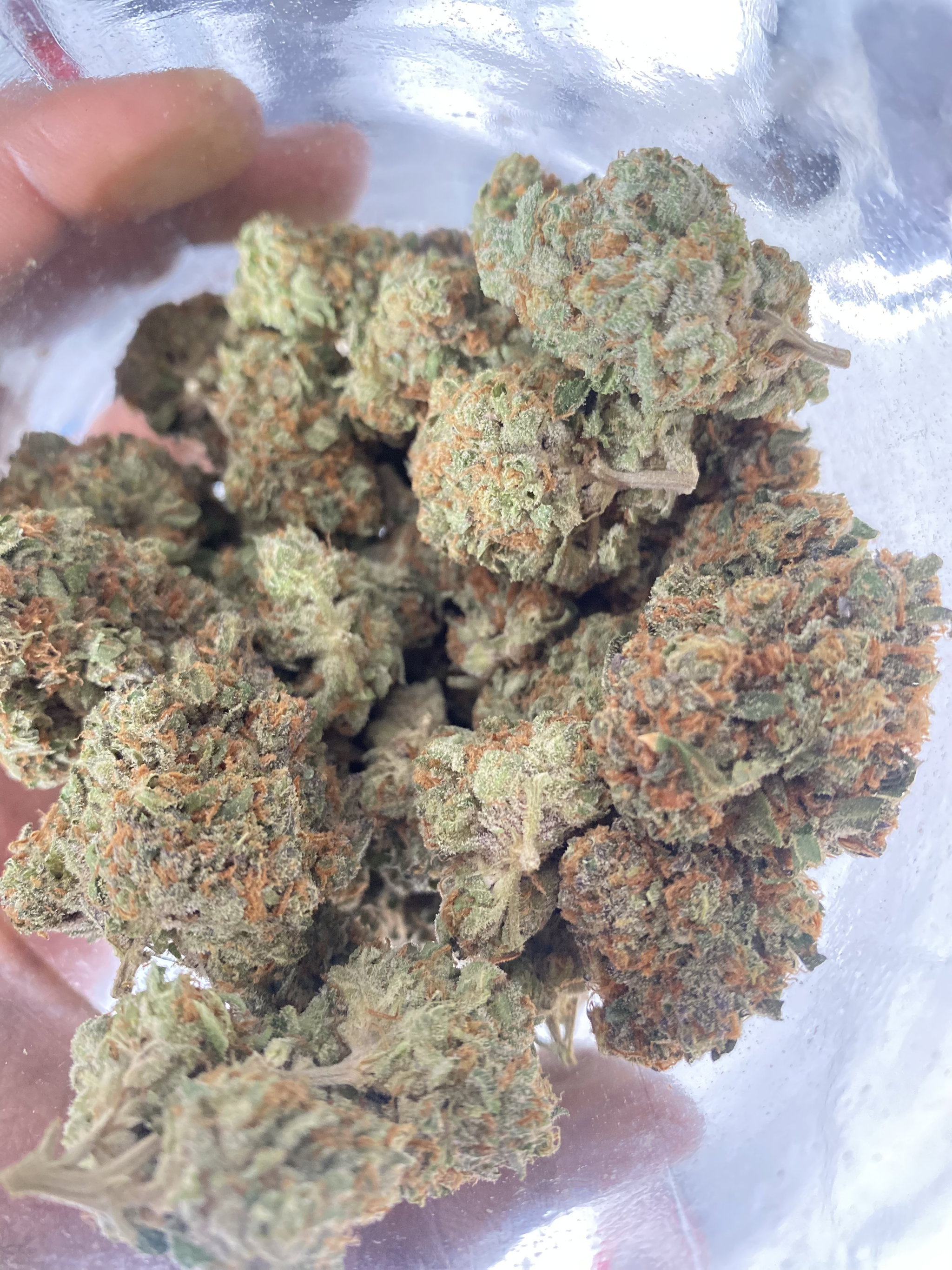 Cherry pie_0