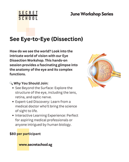 Private Group: See Eye-to-Eye Dissection Workshop for Adults & Students (11yo and up)