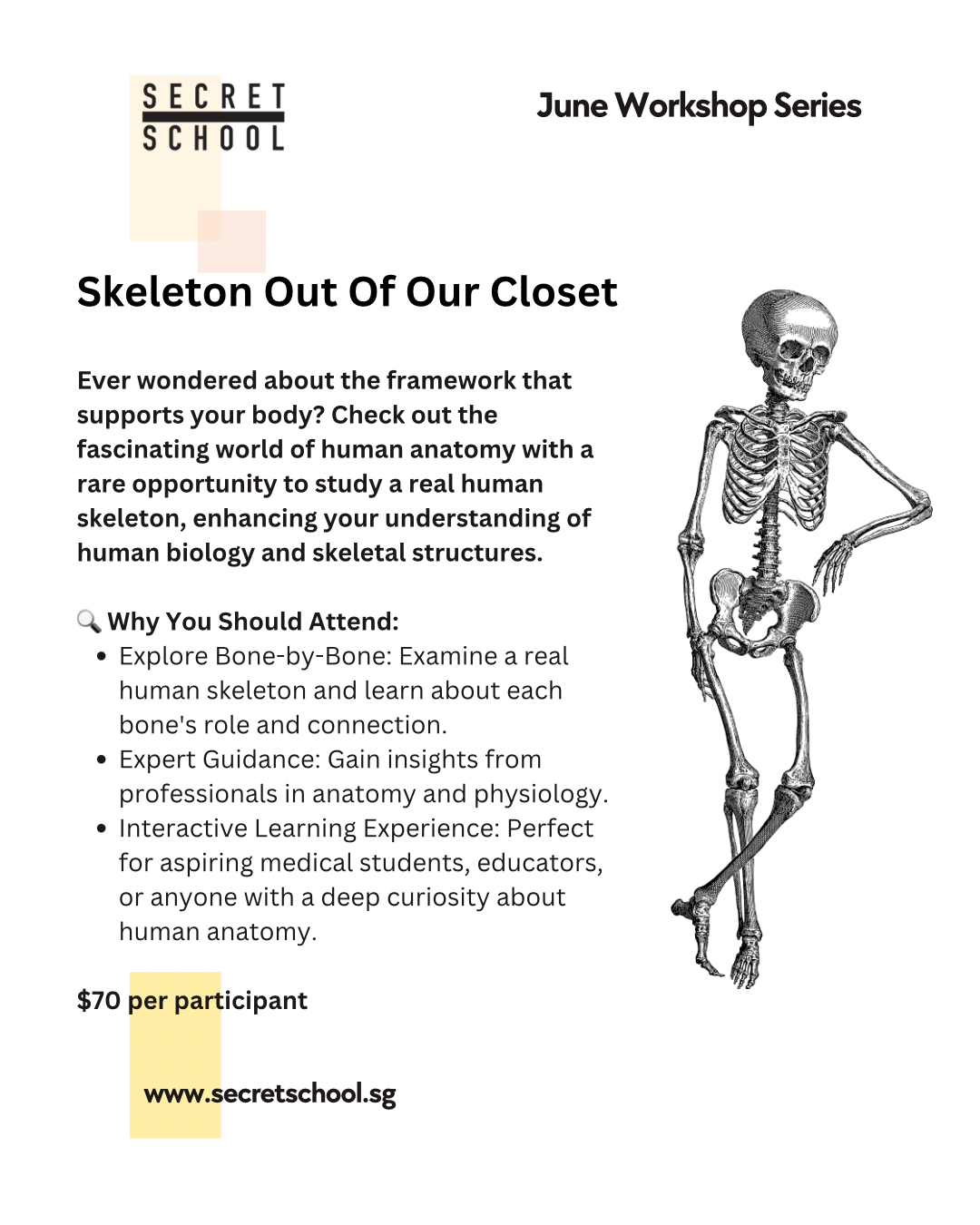Private Group: Skeleton Out of Our Closet for Adults & Students (11yo and up)_0