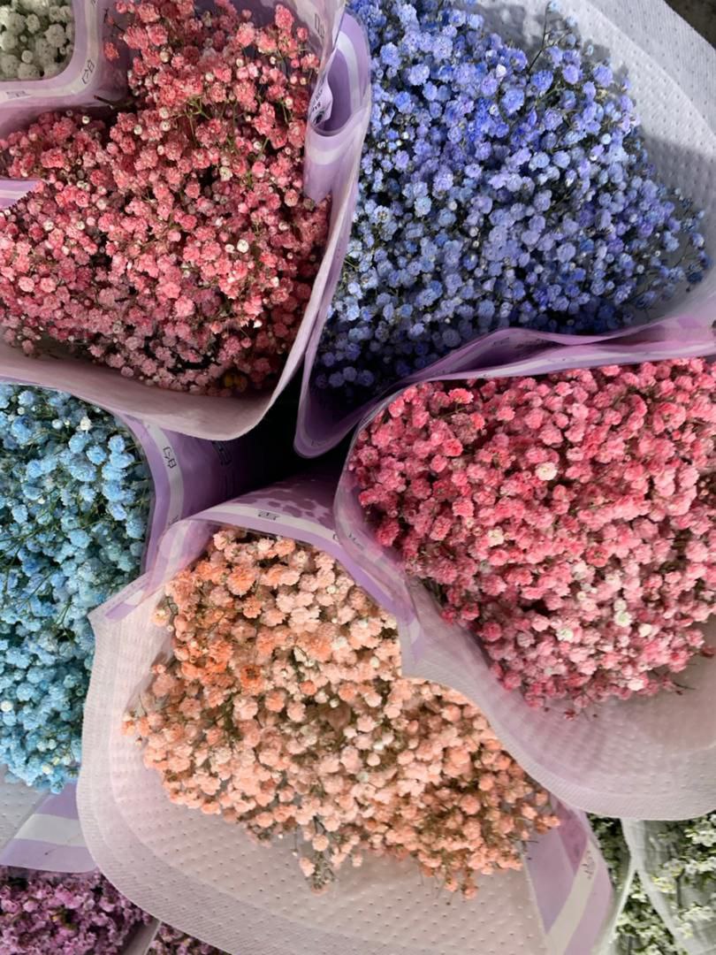 Fresh Cut Flowers Colored BB_0