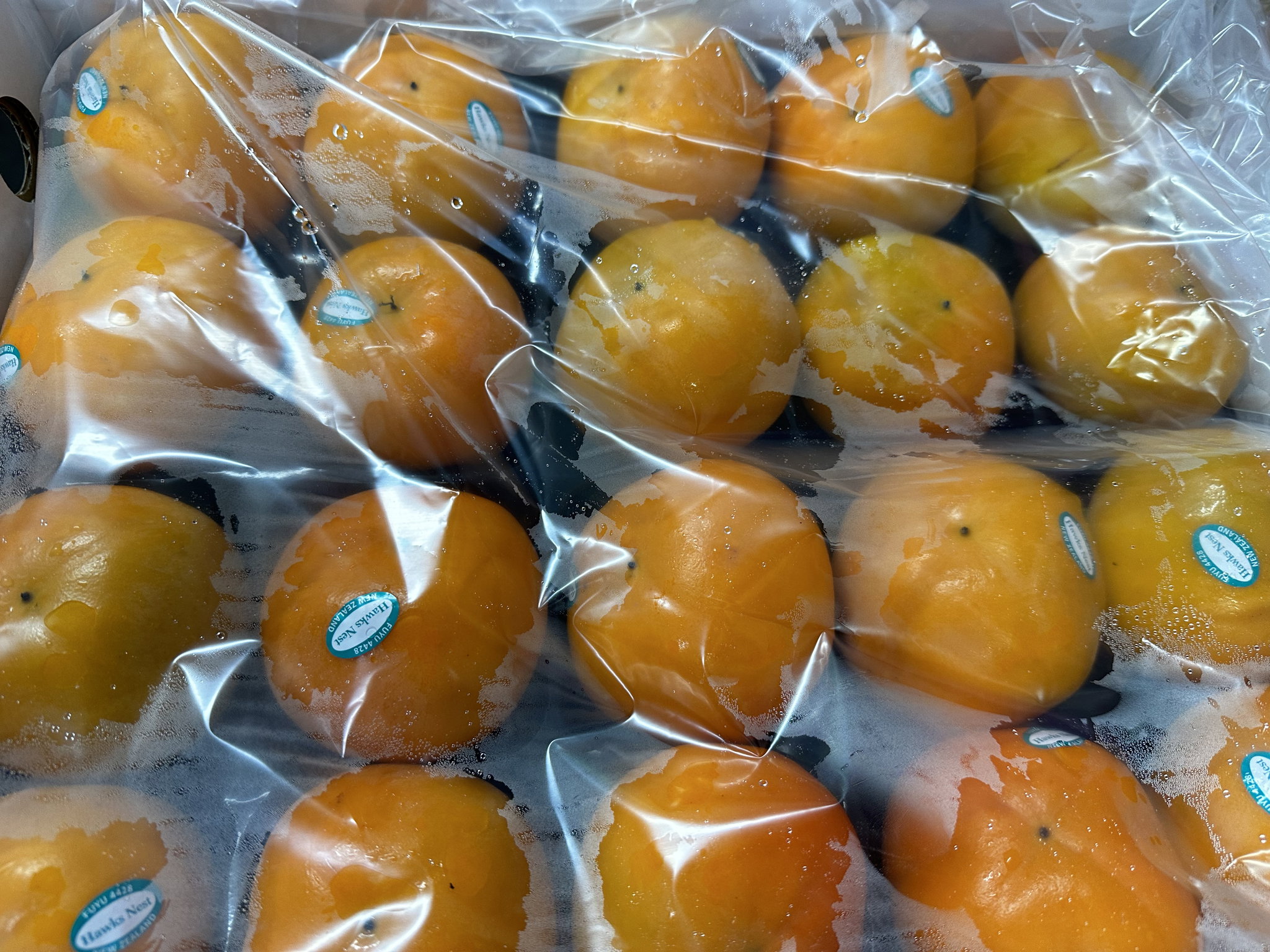 New Zealand Persimmon 3 PCs _0