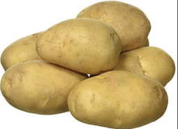 Potato  🇵🇰
