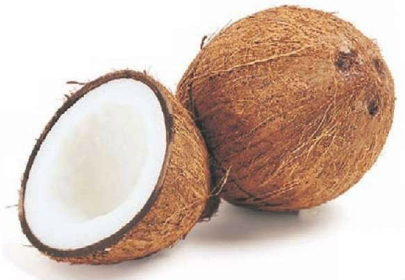Coconut Fresh 🇱🇰