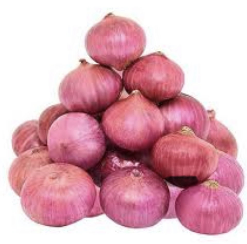 Red Onion 🇮🇳_0