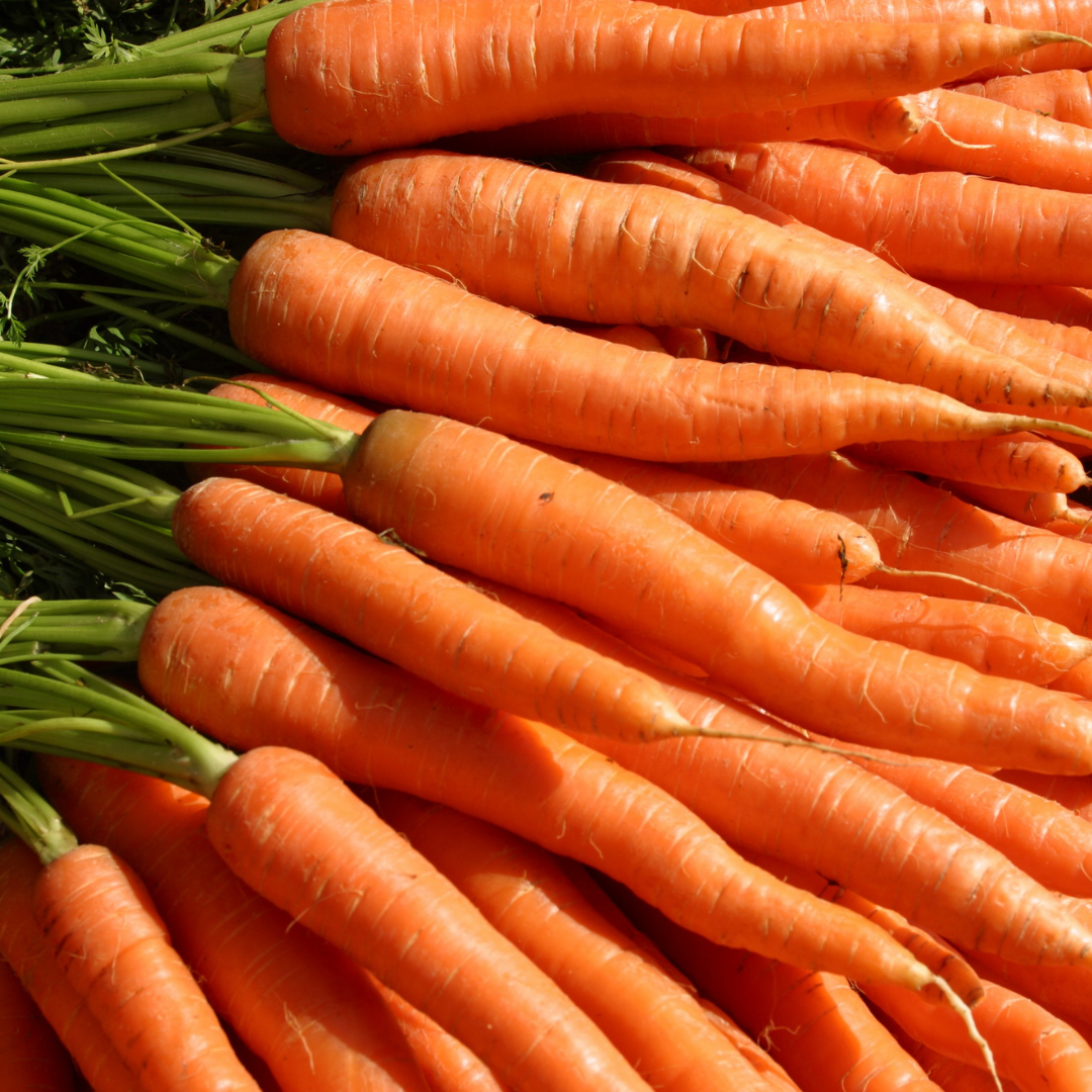 Carrot_0