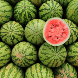 Watermelon