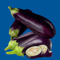 Eggplant (Biringanya)
