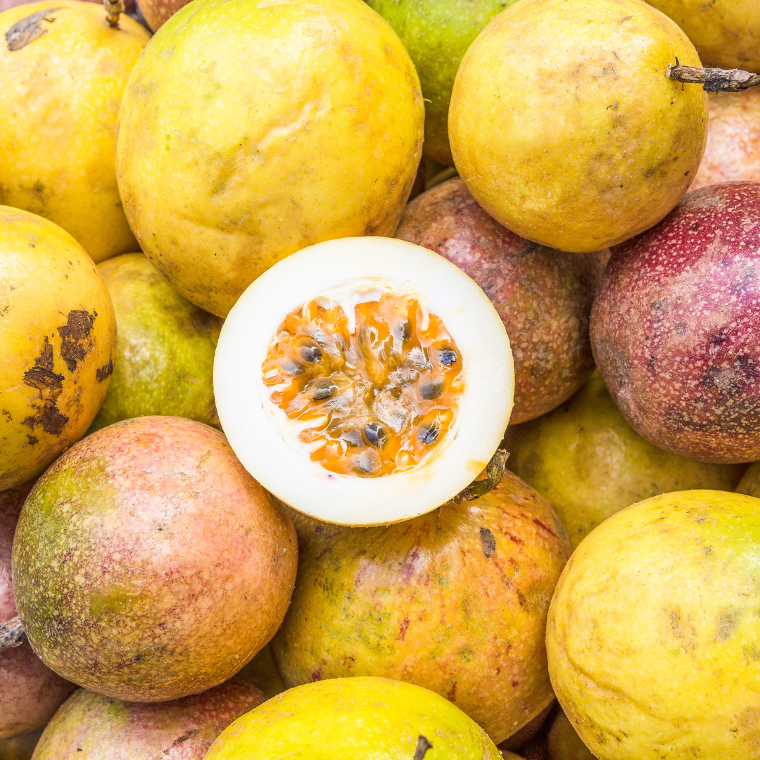 Passion Fruit_0