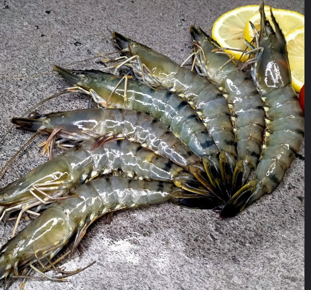 Tiger Prawns 🇹🇭