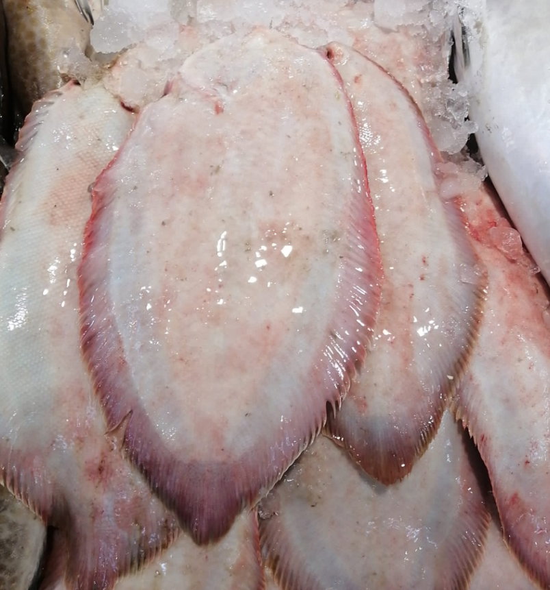 Sole Rocky _0