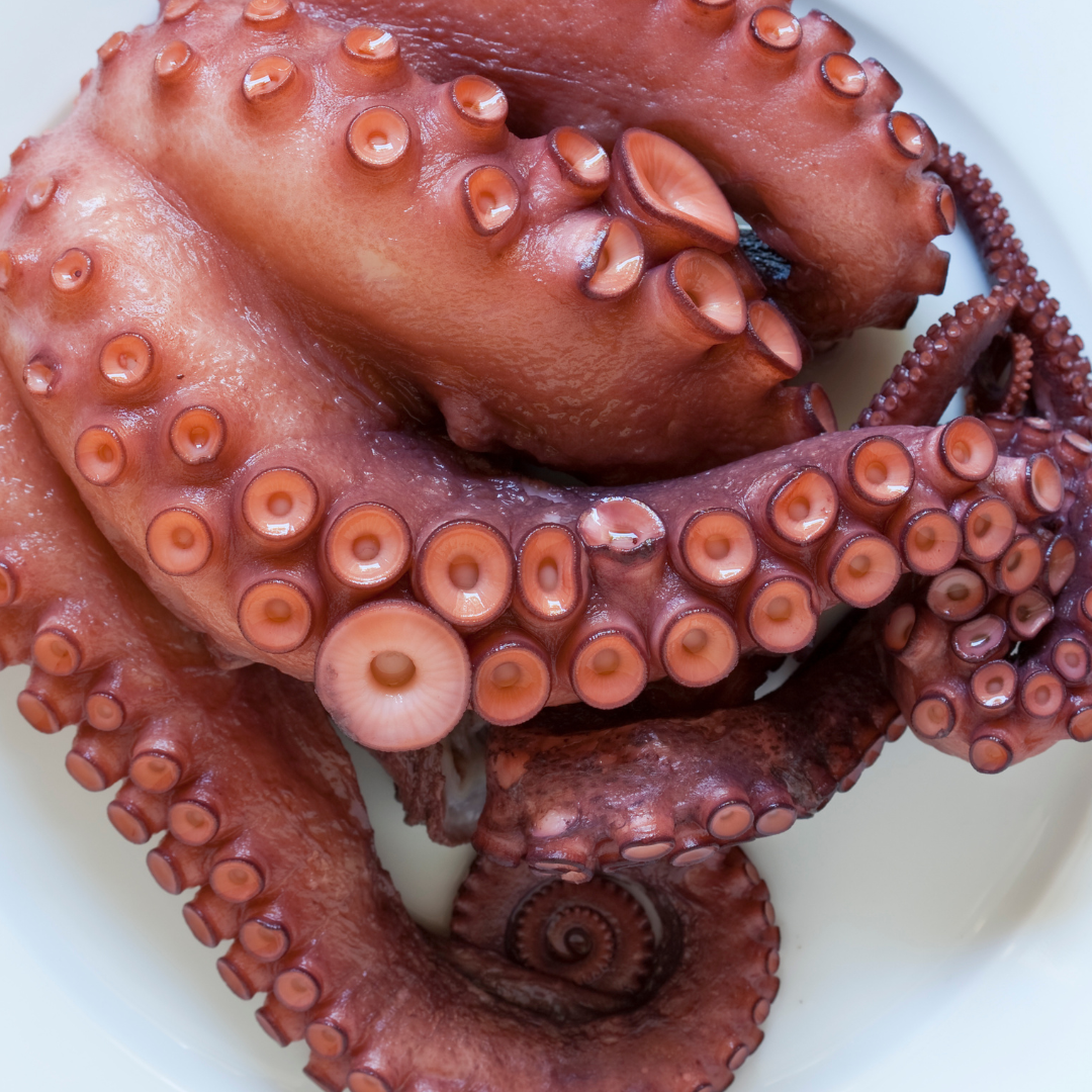Octopus (Pweza)