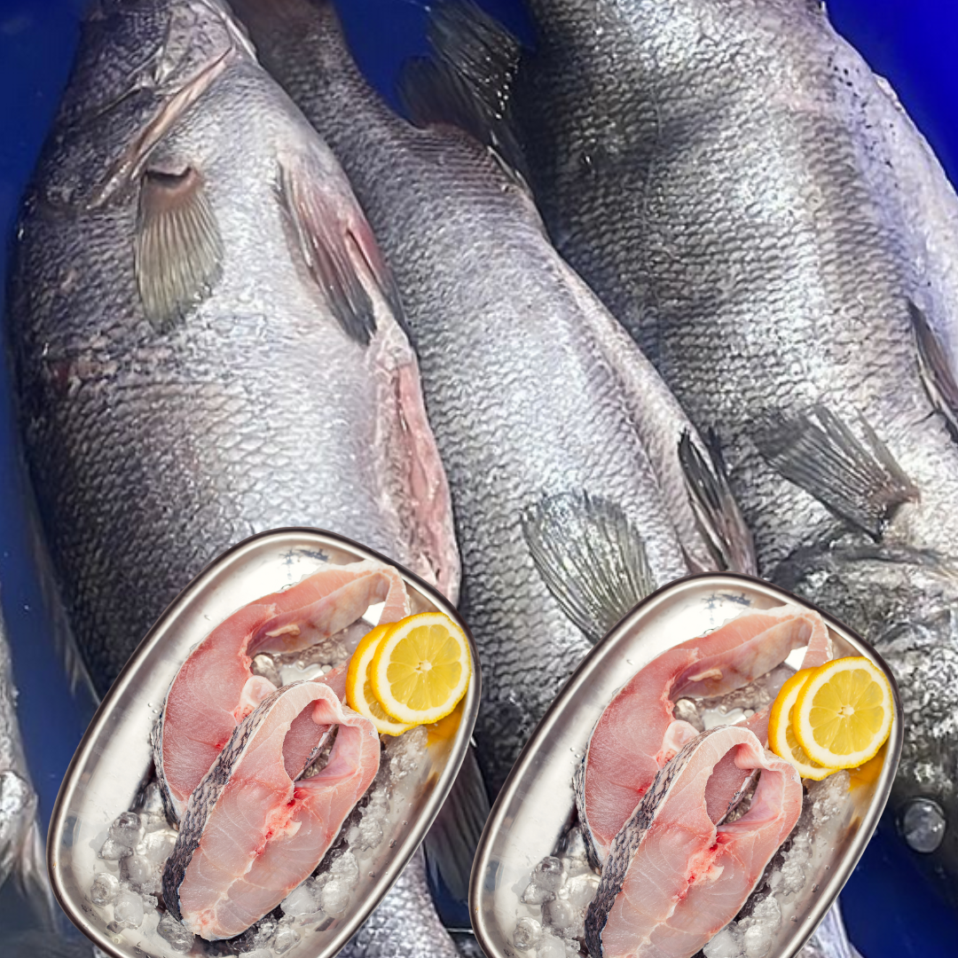 Nile Perch (Sangara)_0