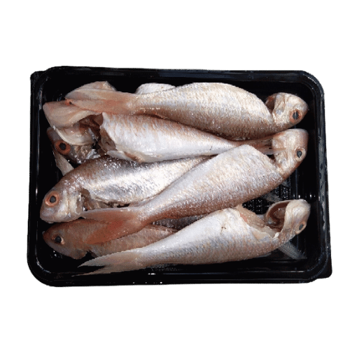  SANGARA - CLEANED 750G TO 850G_0