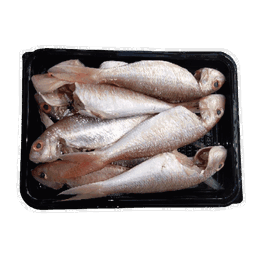  SANGARA - CLEANED 750G TO 850G