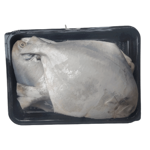  SILVER POMFRET -  CLEANED 750G TO 850G_0