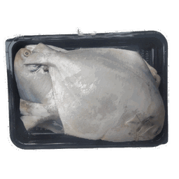  SILVER POMFRET -  CLEANED 750G TO 850G