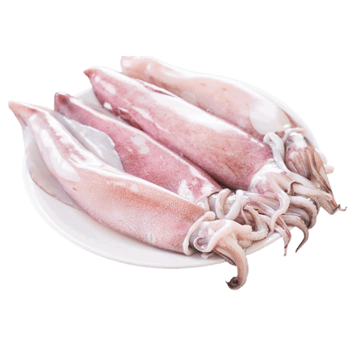 SQUID (KANAVAI FISH) - CLEANED (700G TO 800G)_0