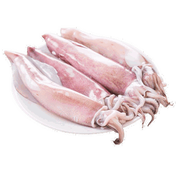 SQUID (KANAVAI FISH) - CLEANED (700G TO 800G)