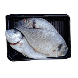 INDIAN SEABASS - CLEANED 750G TO 850G