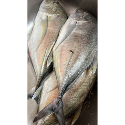 KARUNKANNI PAARAI - CLEANED 1KG