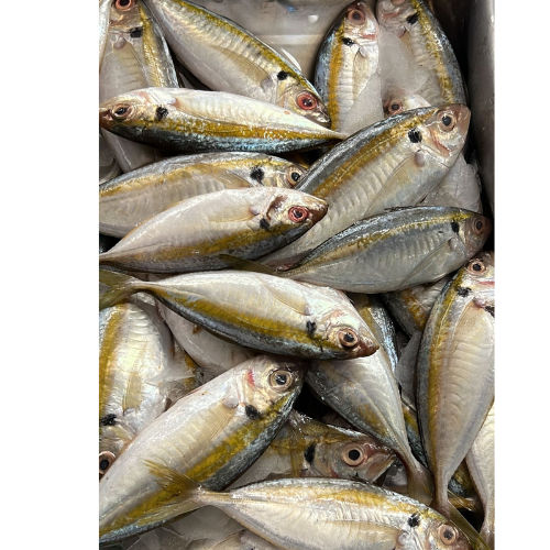 SUPAARAI - CLEANED 750G TO 850G_0