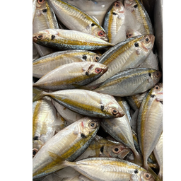 SUPAARAI - CLEANED 750G TO 850G