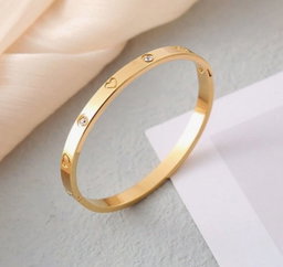 Stainless Clasp Bangle 