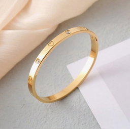 Stainless Clasp Bangle 