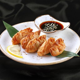 Gyoza dumplings