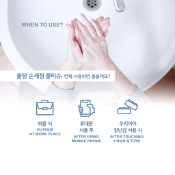 Oldam Sanitizing Hand Wipes (20pcs x 6pks)