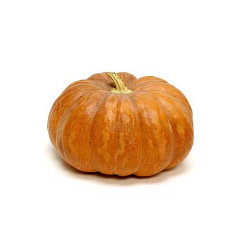 INDIAN PUMPKIN ORANGE (POOSANIKKAI) 5 KG (1 BOX)_0