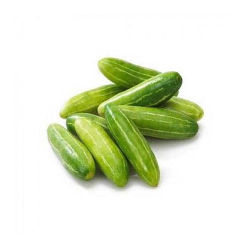 IVY GOURD (KOVAKKAI-TANDOORI) 5 KG (1 BOX)