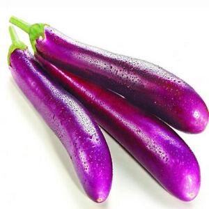LONG AUBERGINE (SRILANKAN KATHIRIKKAI) 5 KG (1 BOX)