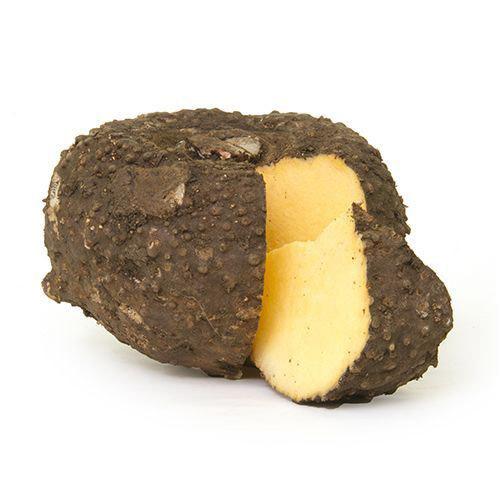 ELEPHANT YAM (KARUNAI KILANGU - SURAN) (5 KG)_0