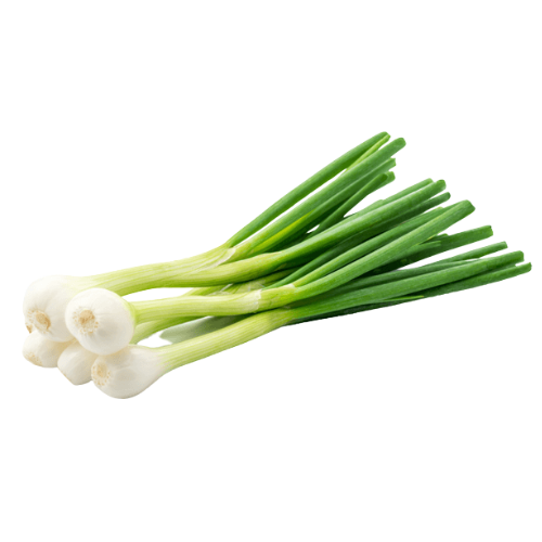 SPRING ONION (1 BOX)