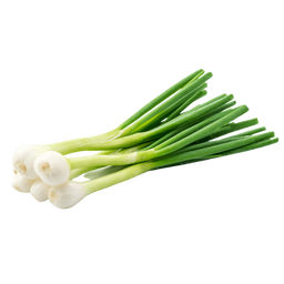 SPRING ONION (1 BOX)