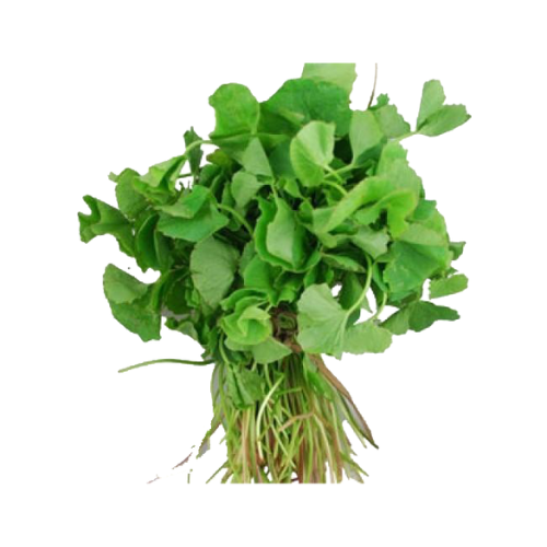 MULAI KEERAI (AMARANTH) 5 KG (1 BOX)