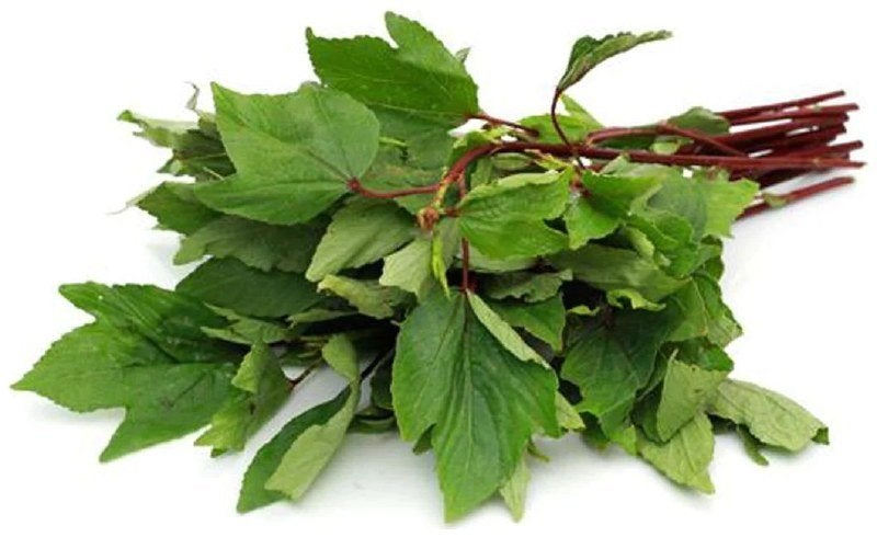 SORREL LEAVES (GONGURA) 5 KG (1 BOX)