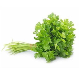 CORIANDER LEAVES 20 BUNCHES (1 BOX)