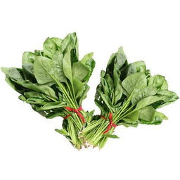 SPINACH (20 BUNCHES) (1 BOX)