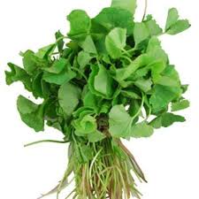 VALLARAI (CENTELLA ASIATICA) 5 KG (1 BOX)