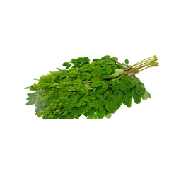 DRUMSTICK LEAVES 5 KG (1 BOX)
