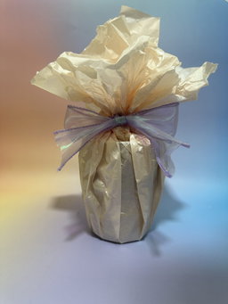 "Bamboo Glass Cup With Straw