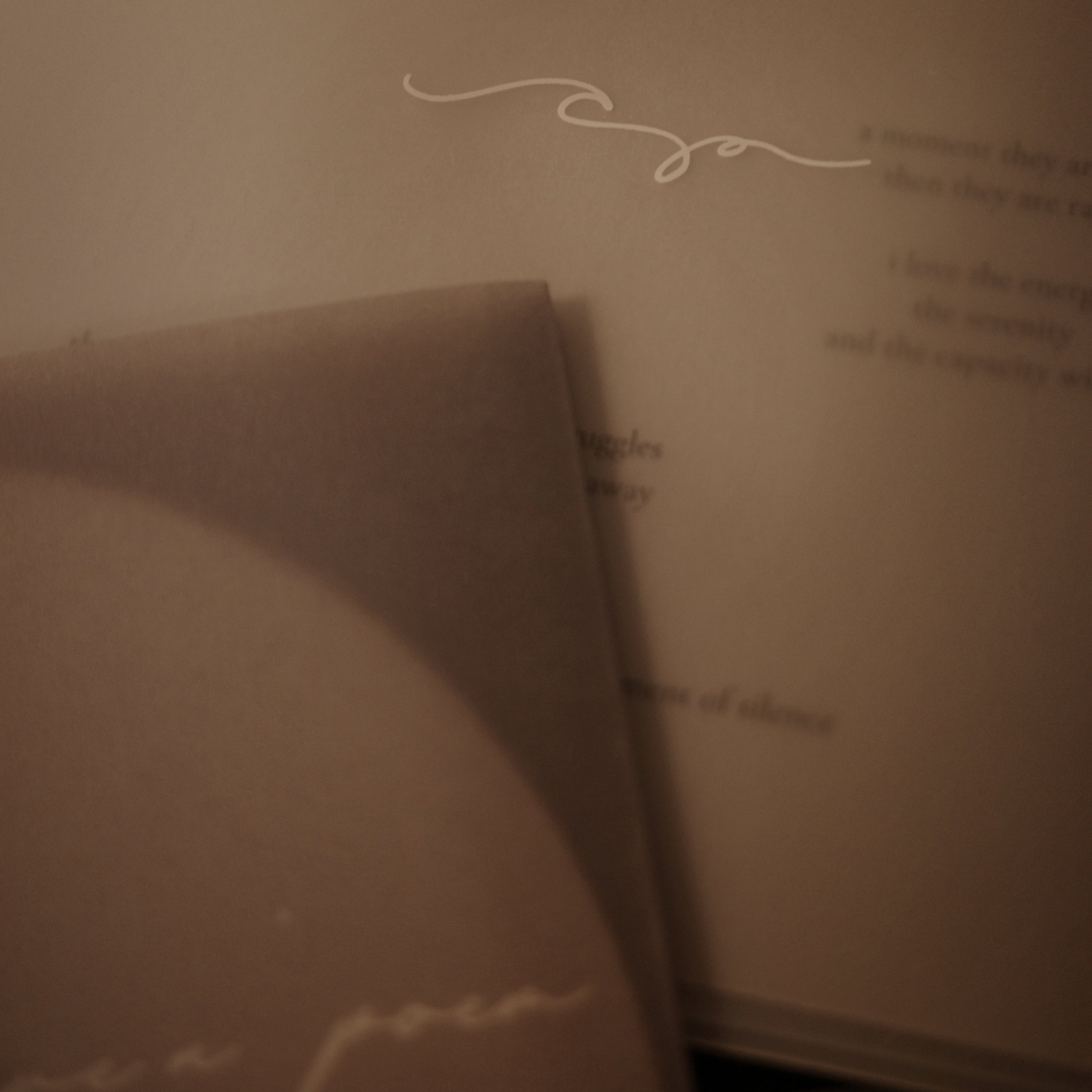 CD (Regular Edition)_2