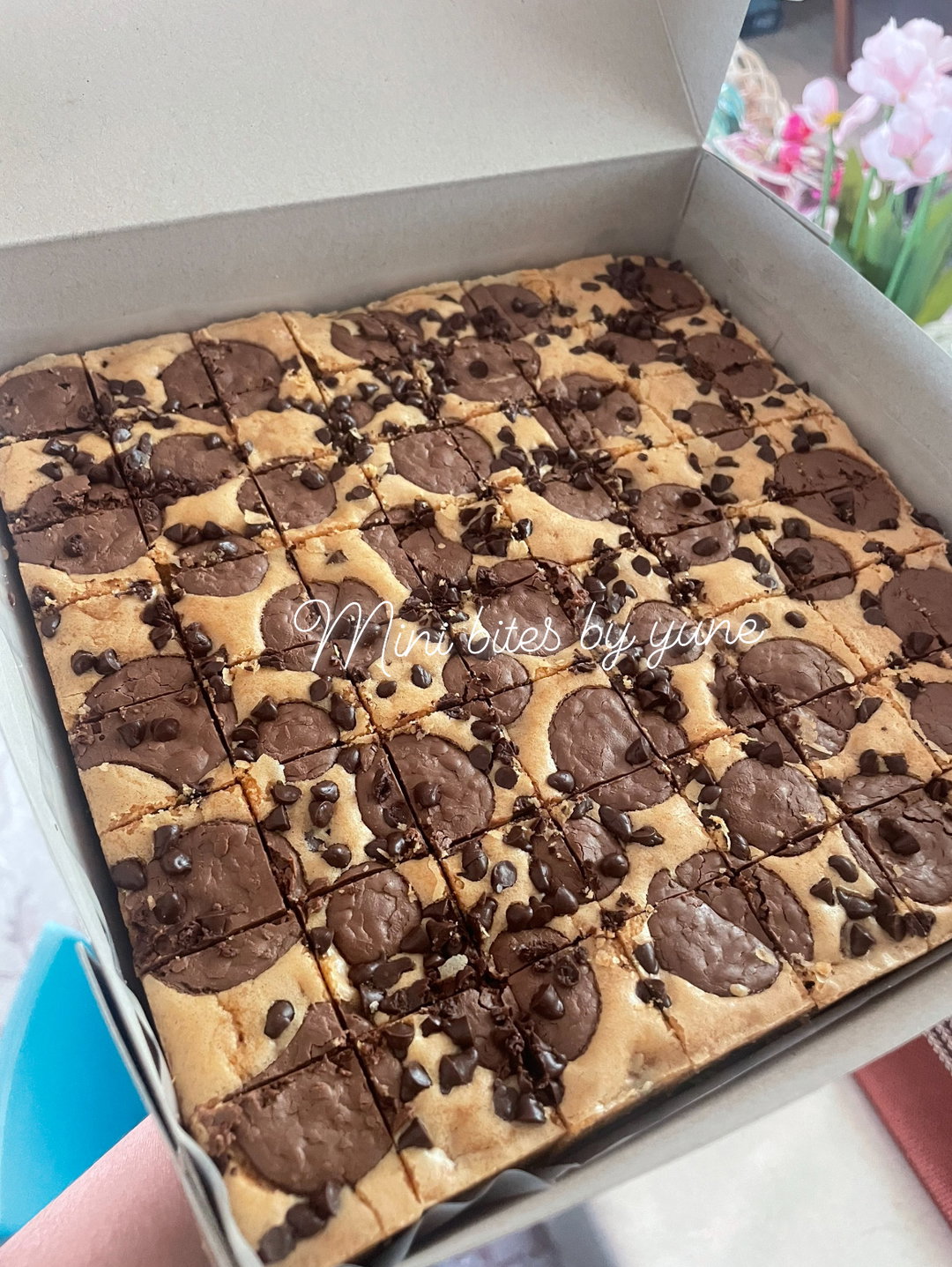 Congo bars