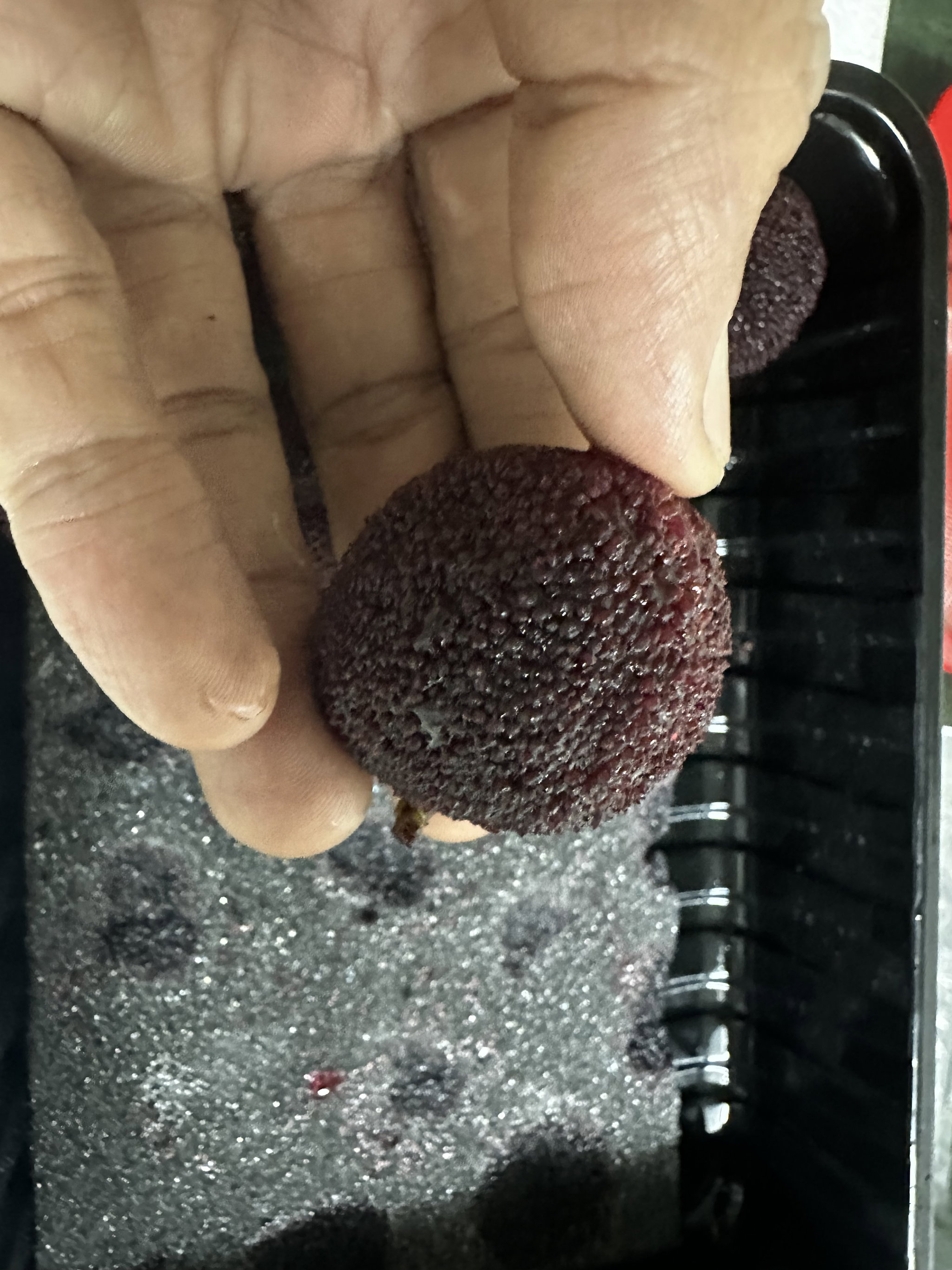 Jumbo YANG MEI  杨梅 400g_0