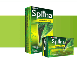 SPLINA CHLOROPHYLL SOAP