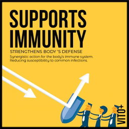 Triple Action Electrolyte Vitamin C Vitamin D and Zinc Effervescent