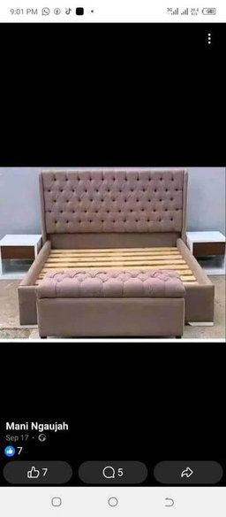 Luxurious Bed 