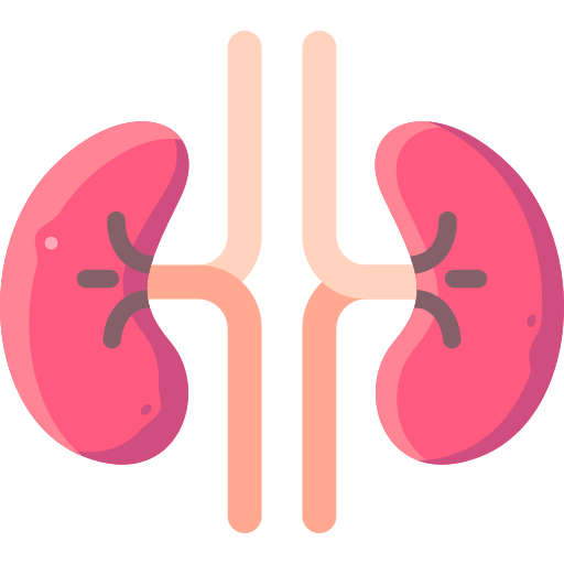 Renal Function Test